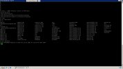 progress version file.jpg