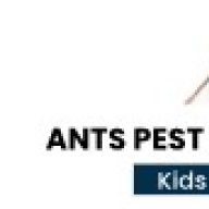 antcontrolperth