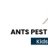 antcontrolperth